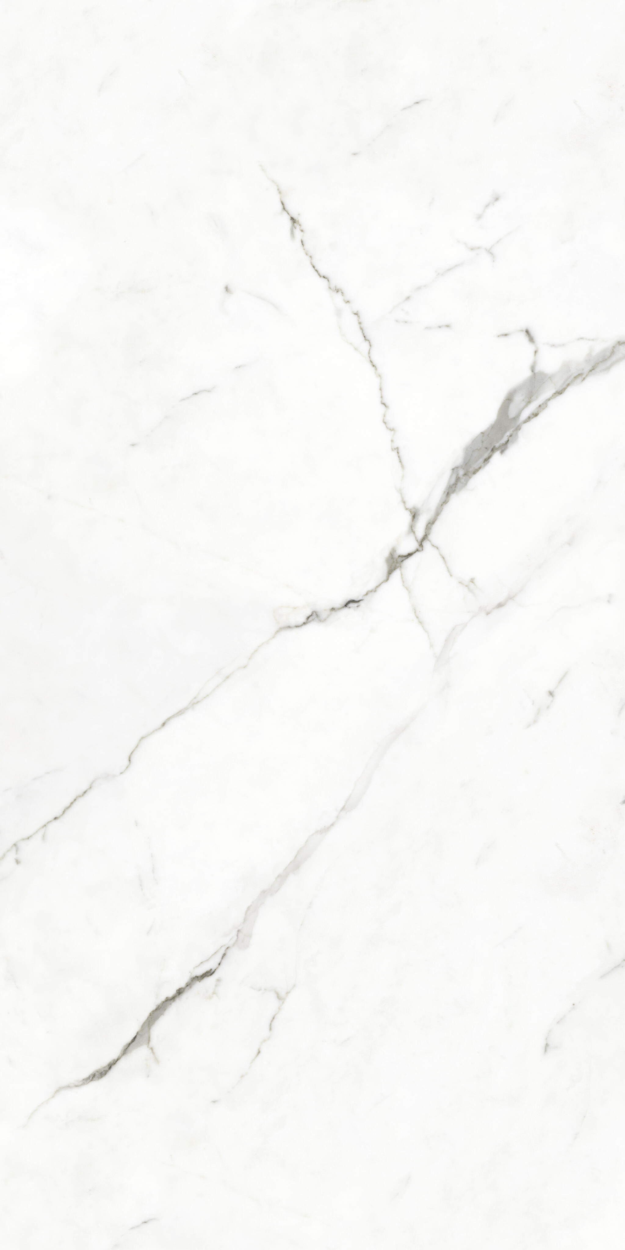 Precious Marble - Calacatta White Tiles